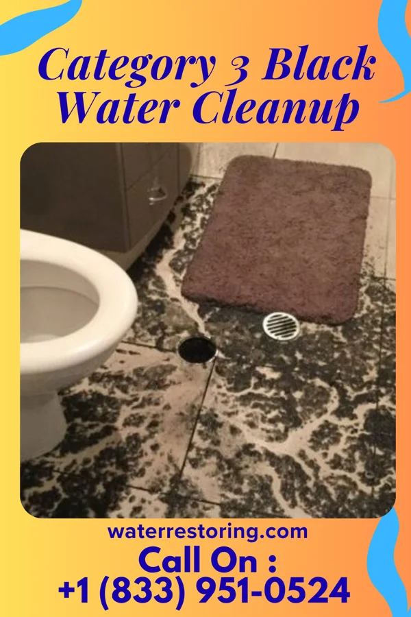 Category 3 Black Water Cleanup in Oliver, GA